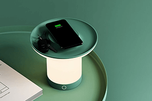 In-Car Wireless Chargers and the Future of Mobile Charging