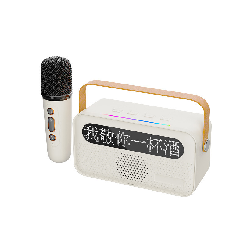 Wireless Karaoke Speaker BT speaker with 2 microphones 