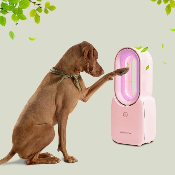 Bladeless portable silent desktop office home fan